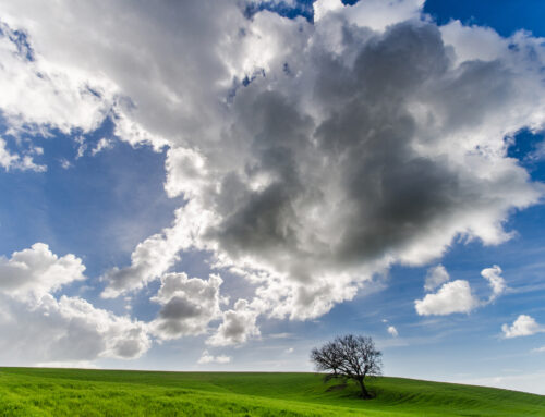 Cultura ambientale – I rifiuti agricoli